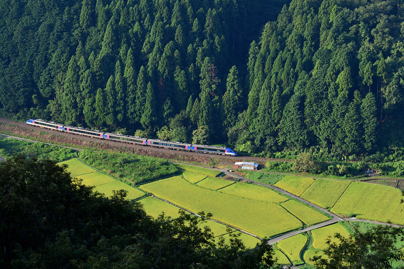 r2025.08.23-da008.jpg