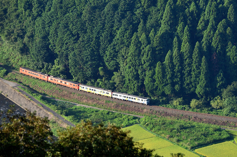r2025.08.23-da108.jpg