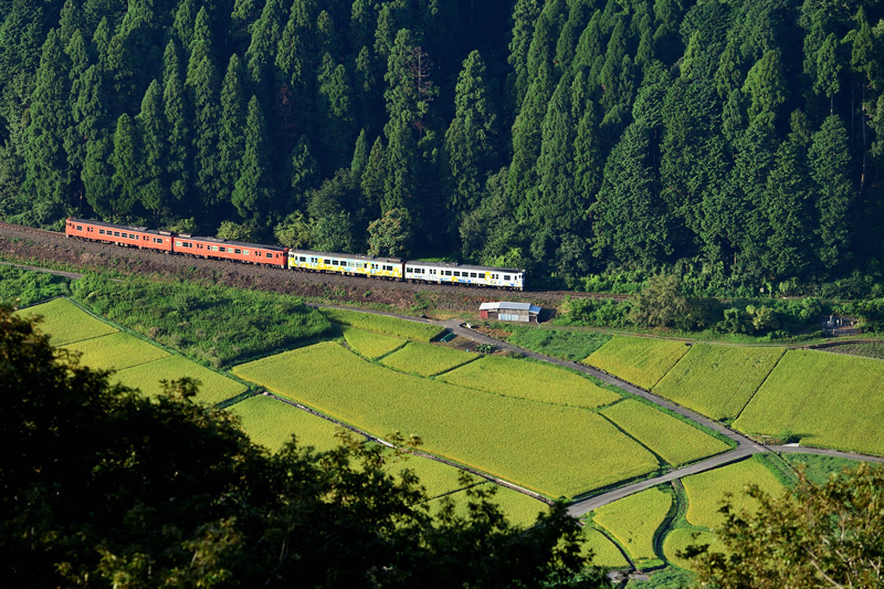 r2025.08.23-da132.jpg