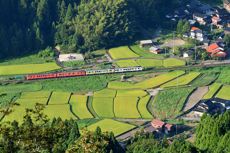 r2025.08.23-da153.jpg