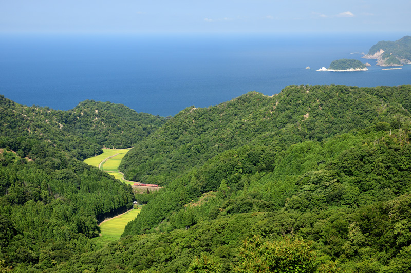 r2025.08.24-d6043.jpg