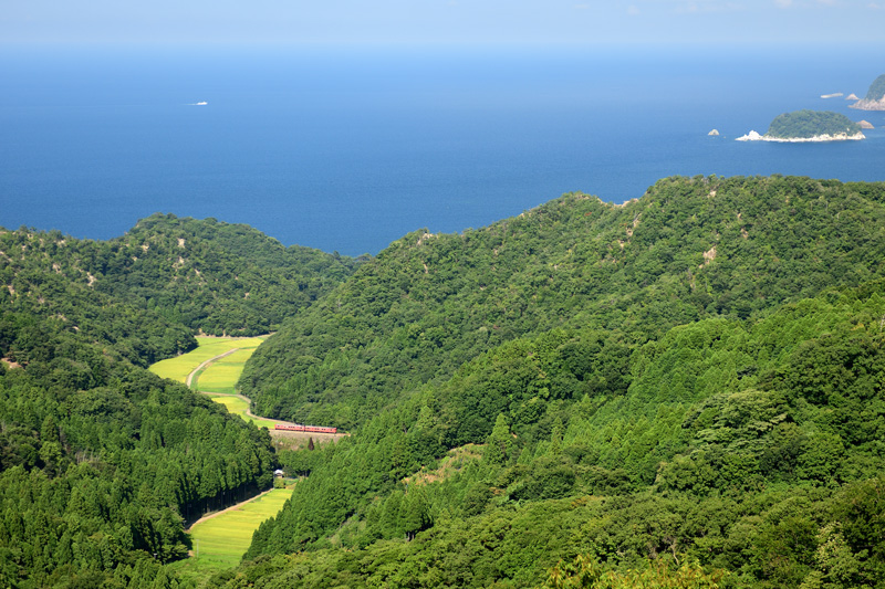r2025.08.24-d6055.jpg