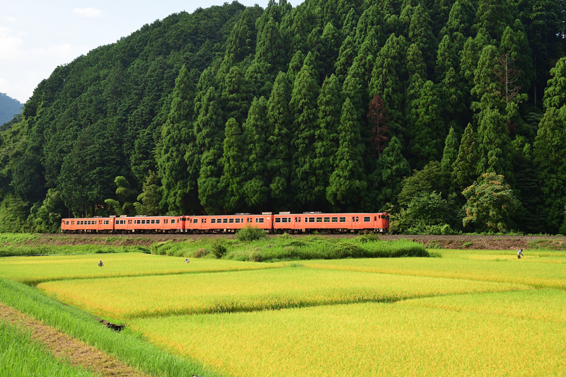 r2025.08.24-da067.jpg