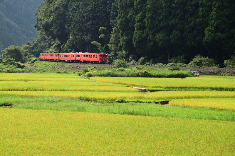 r2025.08.24-da114.jpg