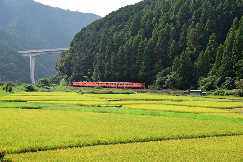 r2025.08.24-da121.jpg