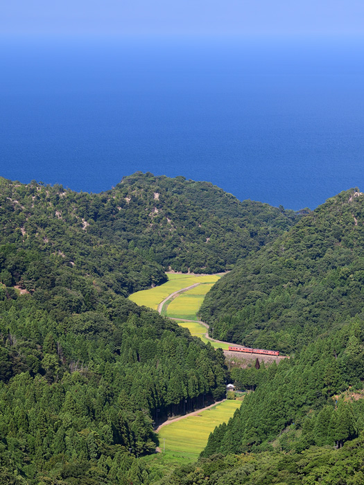 r2025.08.24-da207.jpg
