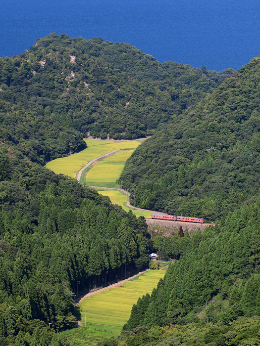 r2025.08.24-da224.jpg
