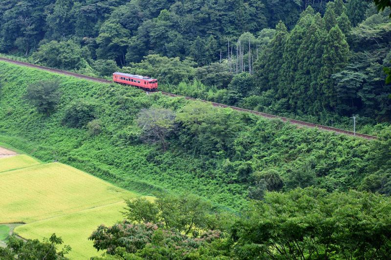 r2025.08.28-d6051.jpg