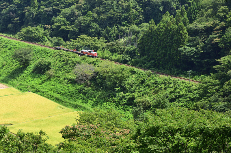 r2025.08.28-d6077.jpg