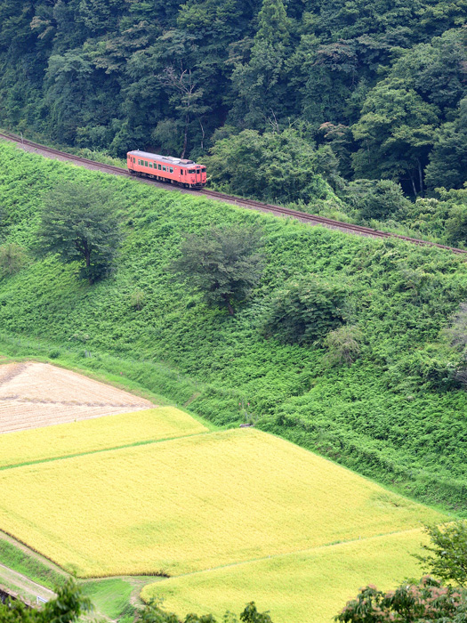 r2025.08.28-da103.jpg