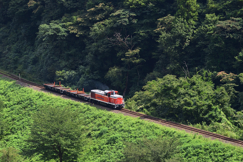 r2025.08.28-da135.jpg