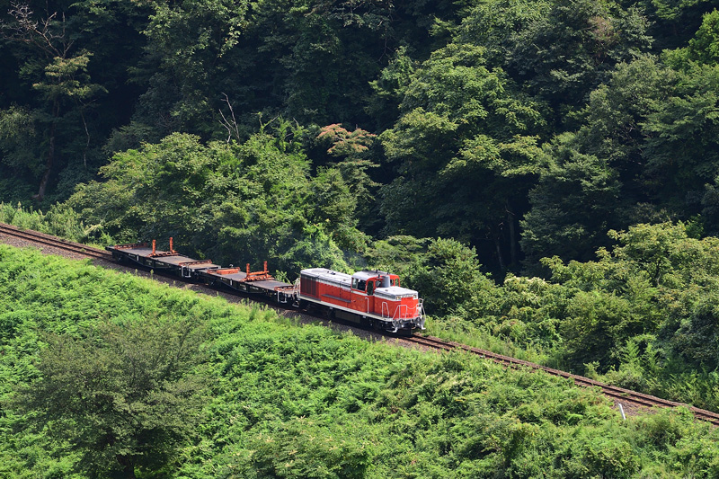 r2025.08.28-da157.jpg