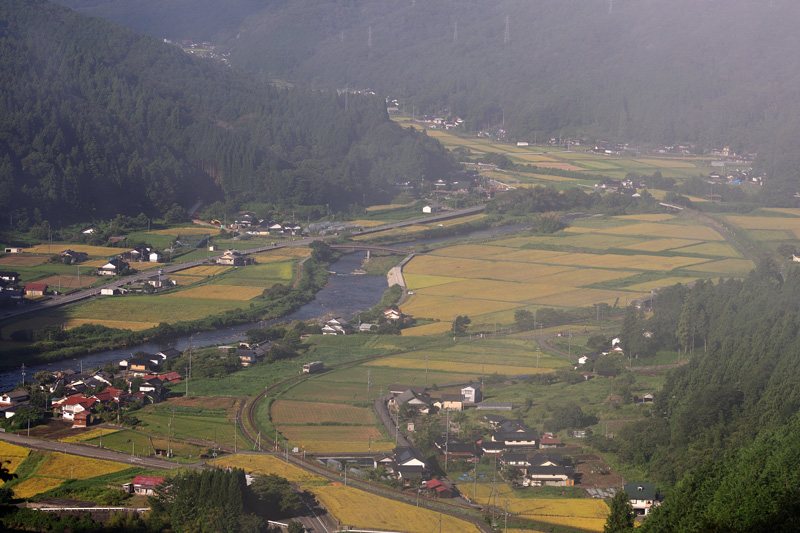 r2025.09.06-d6034.jpg