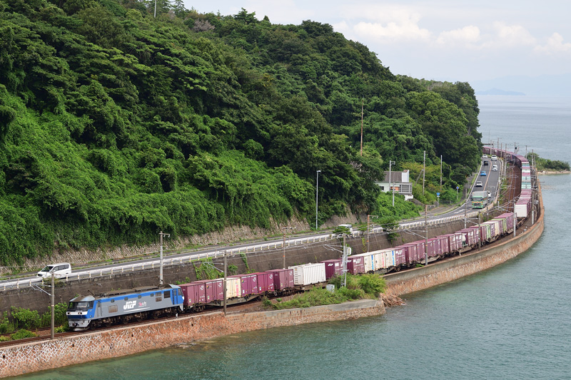 r2025.09.11-da137.jpg