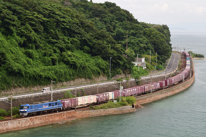 r2025.09.11-da162.jpg