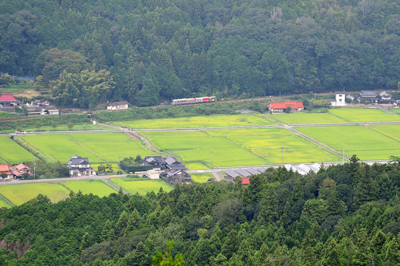 r2025.09.15-da239.jpg