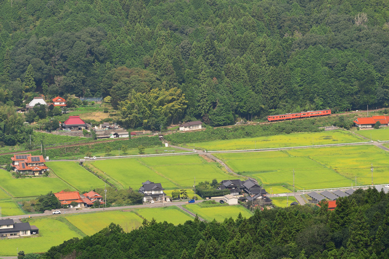 r2025.09.15-da265.jpg