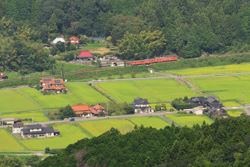 r2025.09.15-da289.jpg
