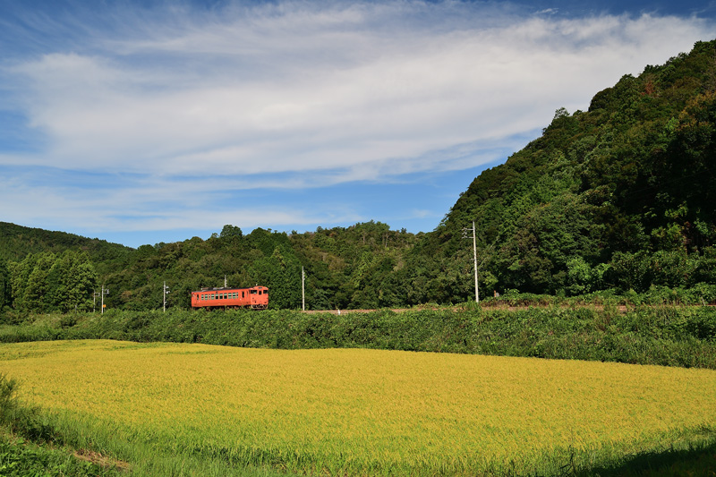 r2025.09.16-da148.jpg