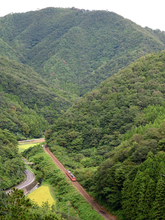 r2025.09.21-d6014.jpg