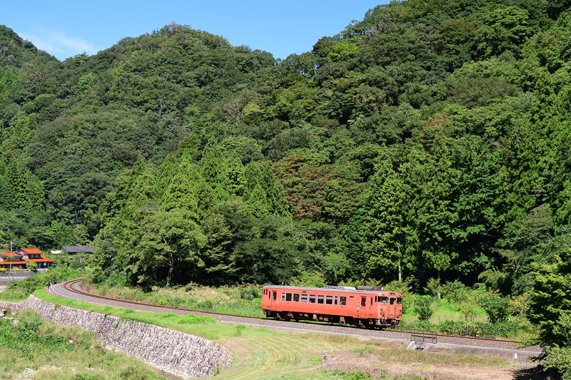 r2025.09.22-da375.jpg
