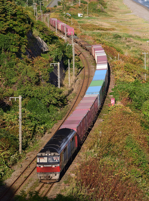 r2025.09.29-da061.jpg