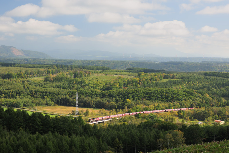 r2025.09.30-d6034.jpg