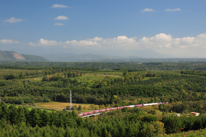 r2025.09.30-d6071.jpg