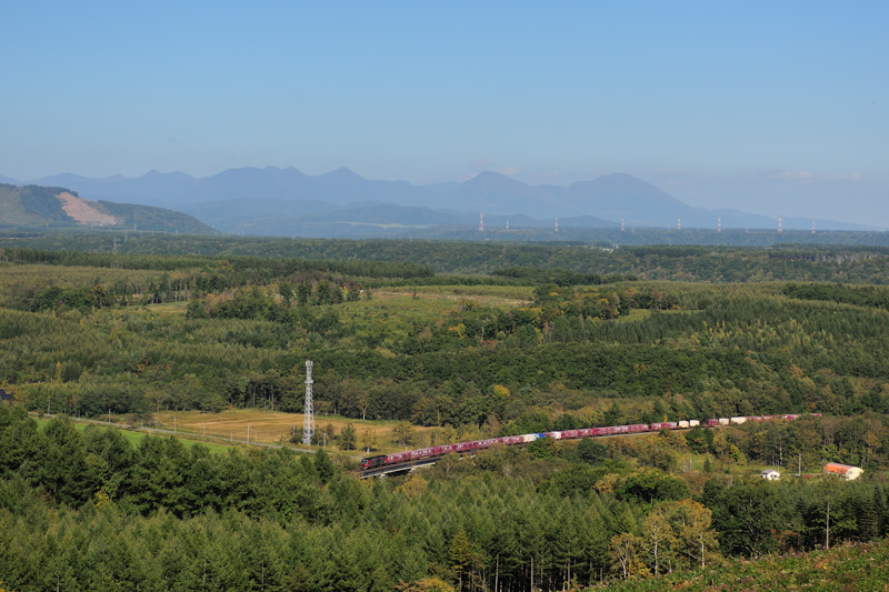 r2025.09.30-d6133.jpg