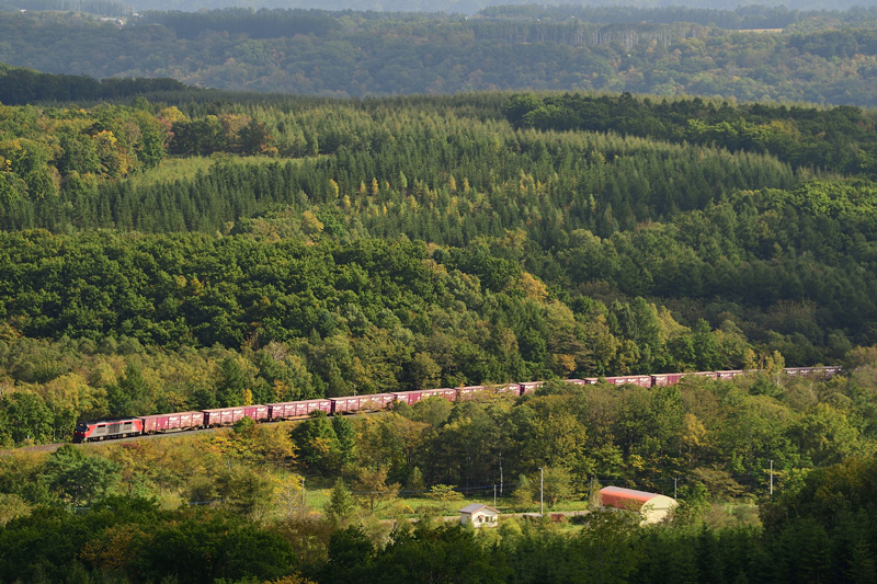 r2025.09.30-da017.jpg