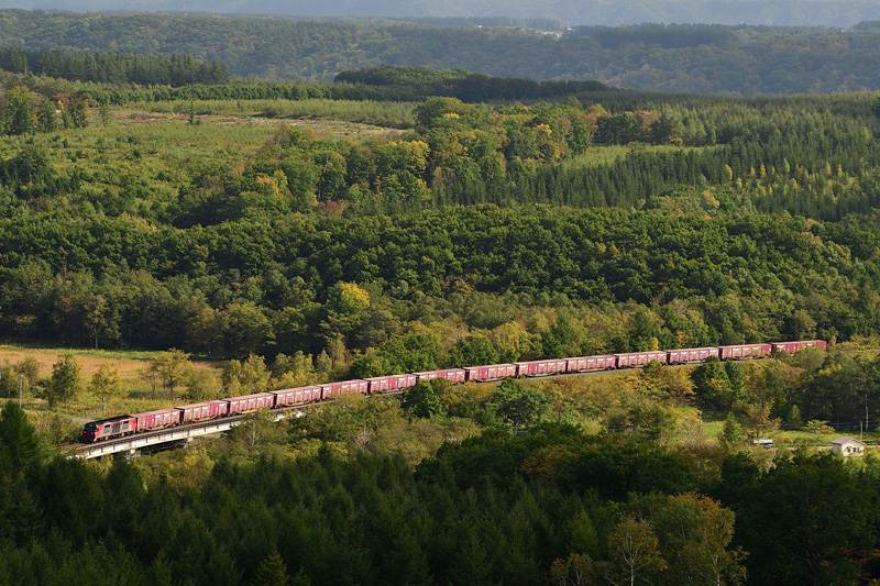 r2025.09.30-da072a.jpg