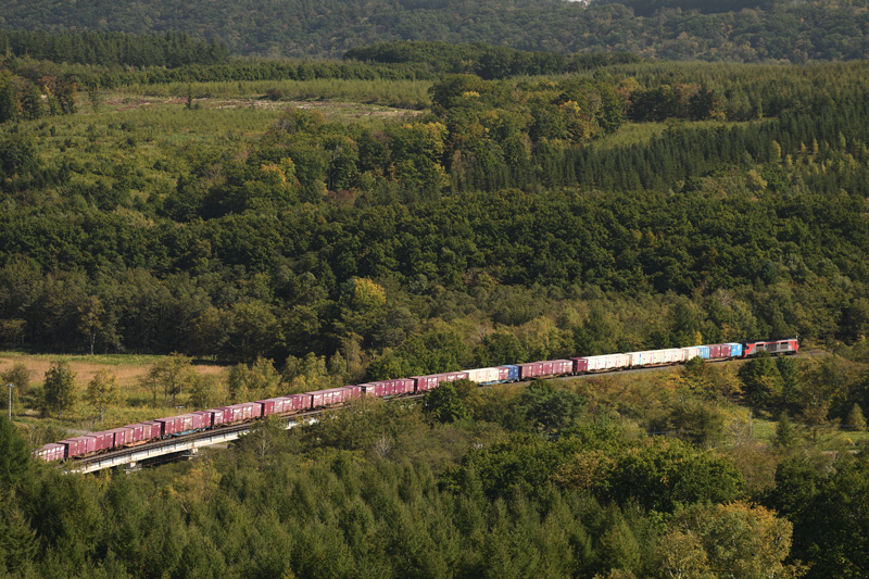 r2025.09.30-da159.jpg