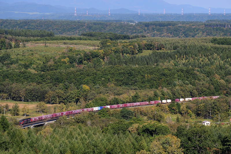 r2025.09.30-da241.jpg