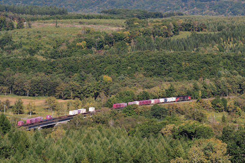 r2025.09.30-da256.jpg