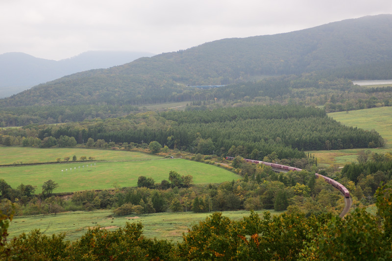 r2025.10.01-d6032.jpg