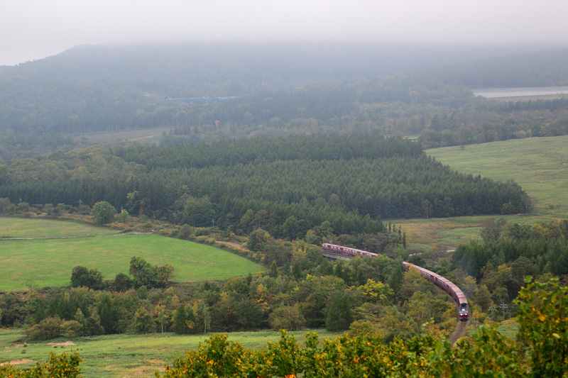r2025.10.01-d6108.jpg