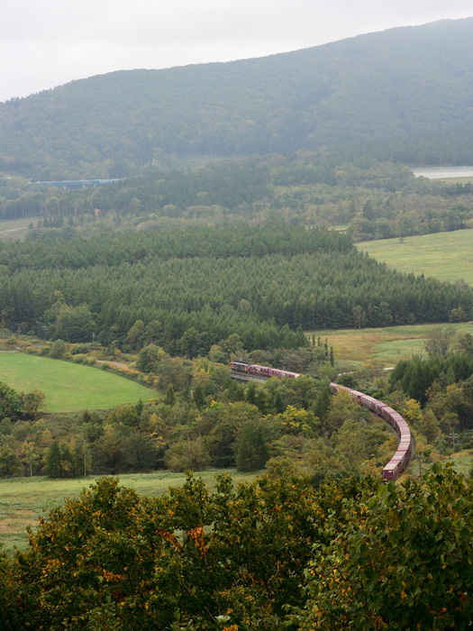 r2025.10.01-d9070.jpg