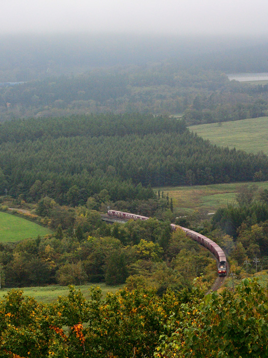 r2025.10.01-d9232.jpg