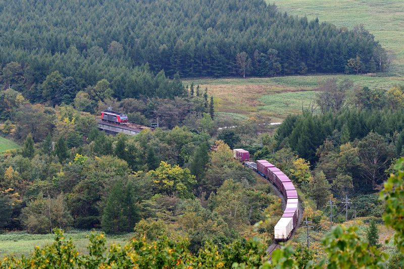 r2025.10.01-da046.jpg