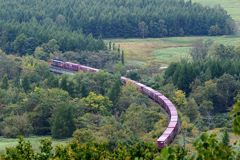 r2025.10.01-da056.jpg