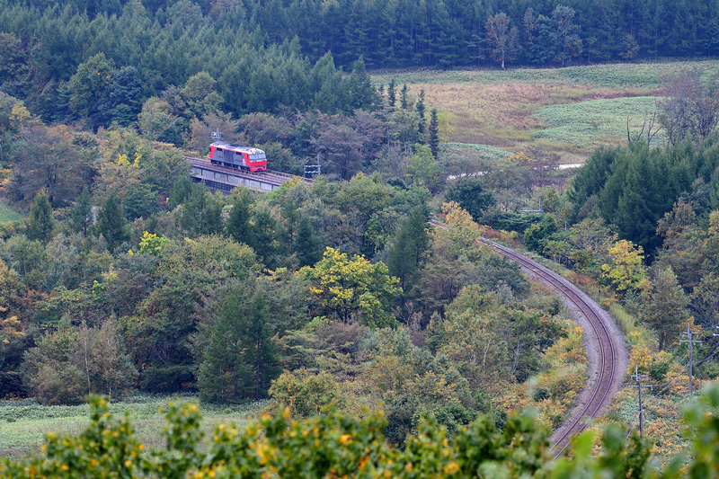 r2025.10.01-da101.jpg