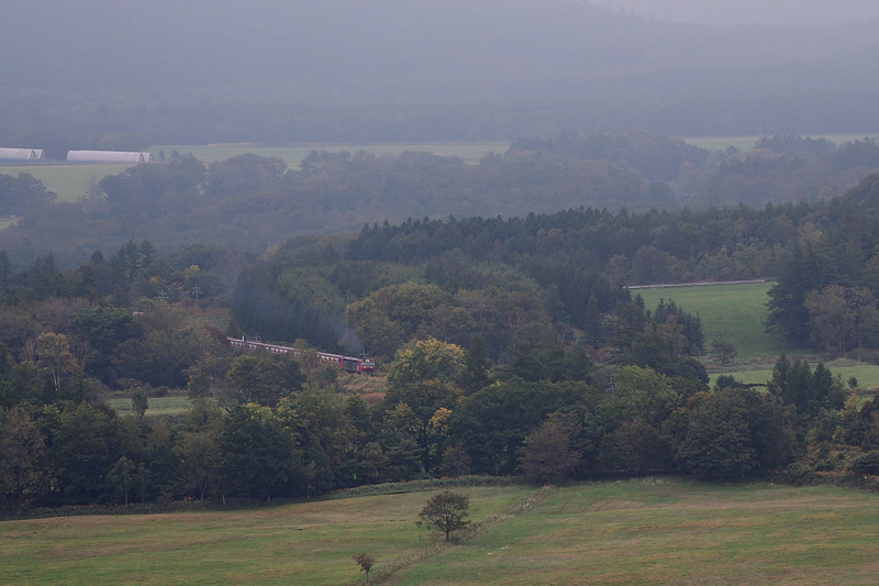 r2025.10.01-da134.jpg