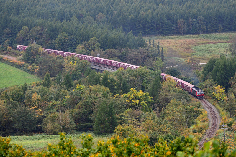 r2025.10.01-da212.jpg