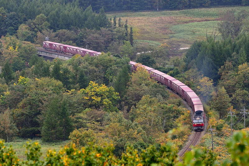 r2025.10.01-da245.jpg