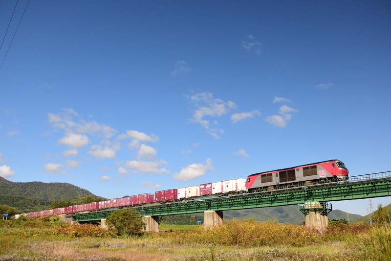 r2025.10.02-d6046.jpg