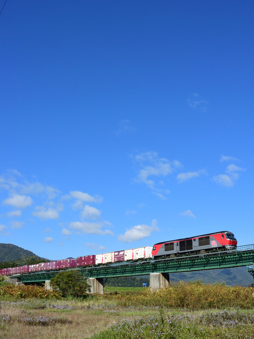 r2025.10.02-d9023.jpg