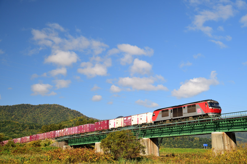 r2025.10.02-da088.jpg
