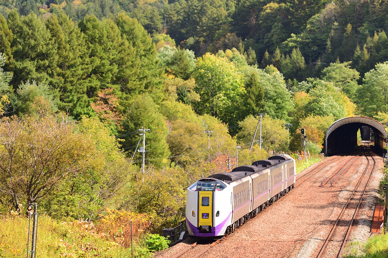 r2025.10.02-da121.jpg
