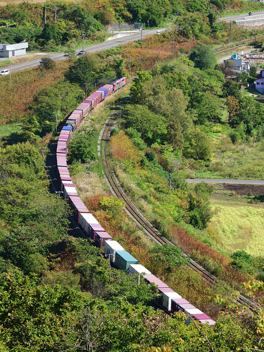 r2025.10.03-da207.jpg