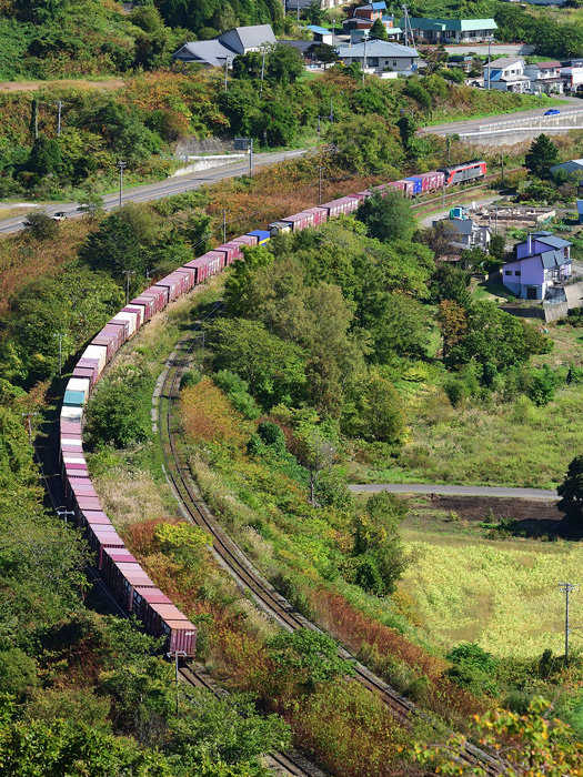 r2025.10.03-da216.jpg